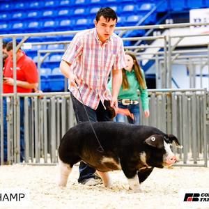 Meet your Posher, Andy